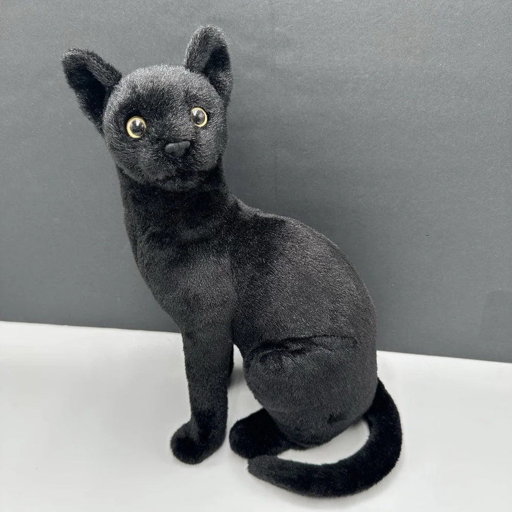 Boone Black Cat 14